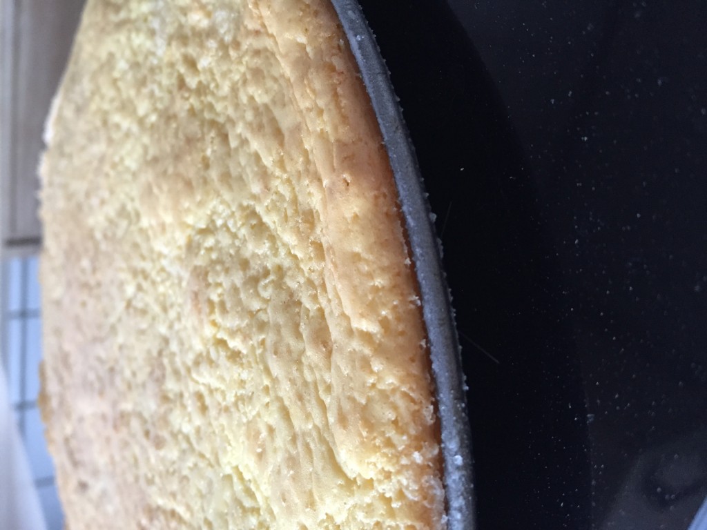 Erdbeer-Quark-Törtchen - BackGAUDI